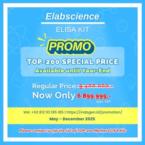 promo elab 4