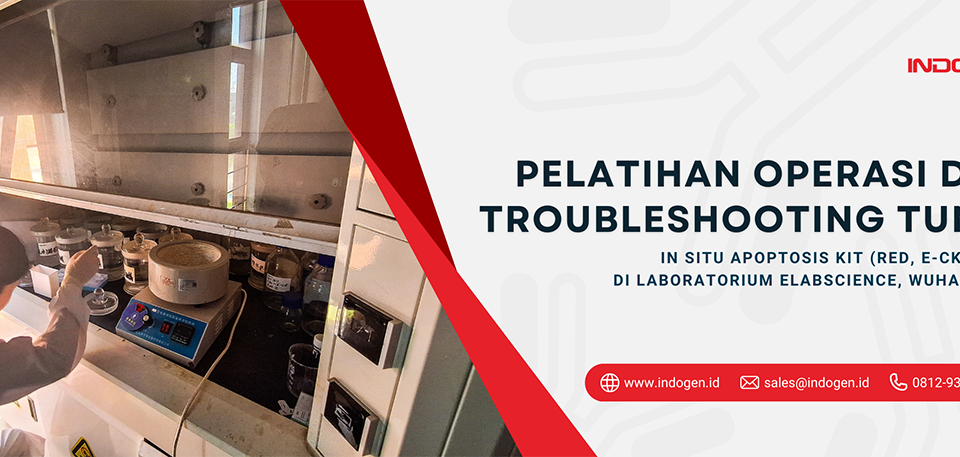 1. Pelatihan Operasi dan Troubleshooting TUNEL In Situ Apoptosis Kit (Red, E-CK-A322) di Laboratorium Elabscience, Wuhan, Cina