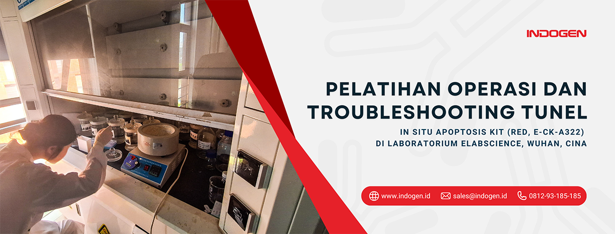 1. Pelatihan Operasi dan Troubleshooting TUNEL In Situ Apoptosis Kit (Red, E-CK-A322) di Laboratorium Elabscience, Wuhan, Cina
