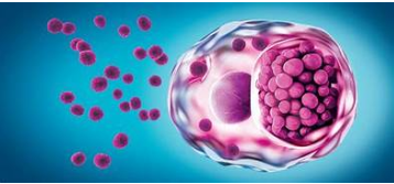 Gambar 1. Chlamydia trachomatis