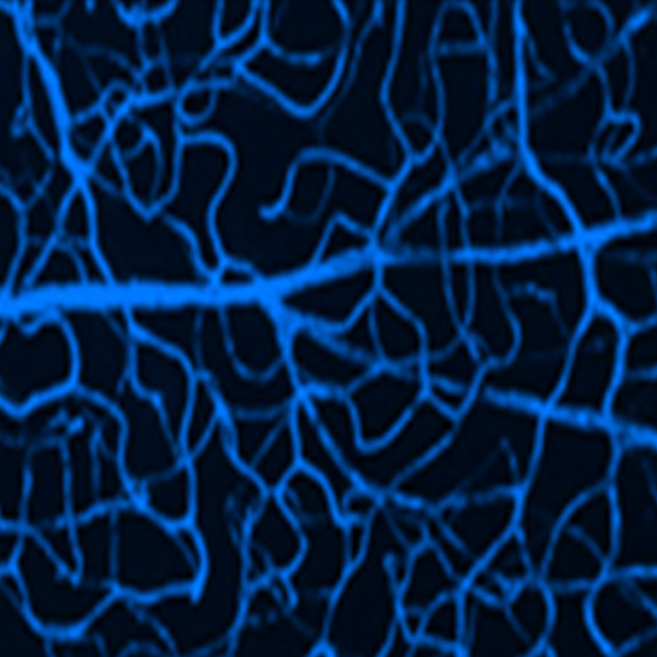Metabolism-Research
