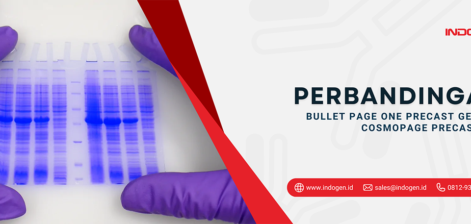 Perbandingan Bullet PAGE Plus Precast Gel dan CosmoPAGE Precast Gel
