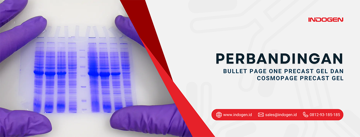 Perbandingan Bullet PAGE Plus Precast Gel dan CosmoPAGE Precast Gel