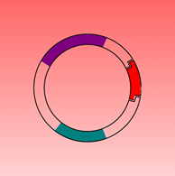 Molecular Cloning & Related Enzymes