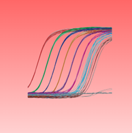 PCR & qPCR