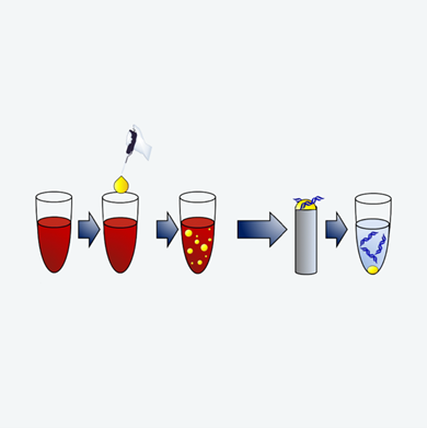 Cell Component Extraction