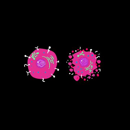 Ferroptosis