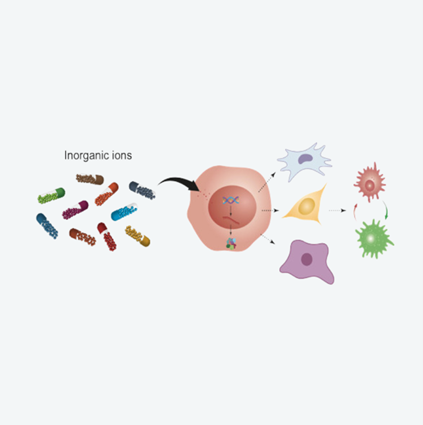 Inorganic lons