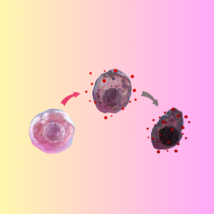 Oxidative Stress