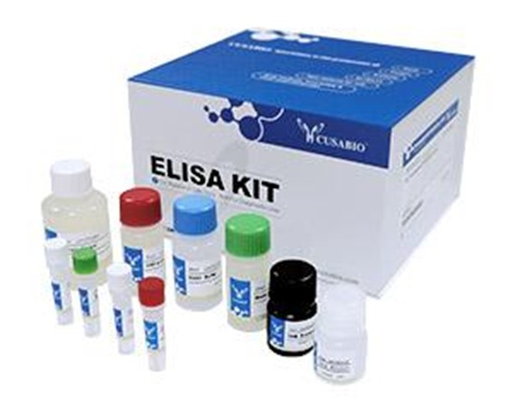 Gambar 3. Cusabio ELISA Kit