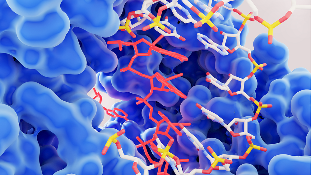 A. Cayman Chemicals Product List - Enzyme Activity