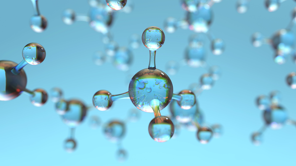 E. Cayman Chemicals Product List - Fluorometric Assays