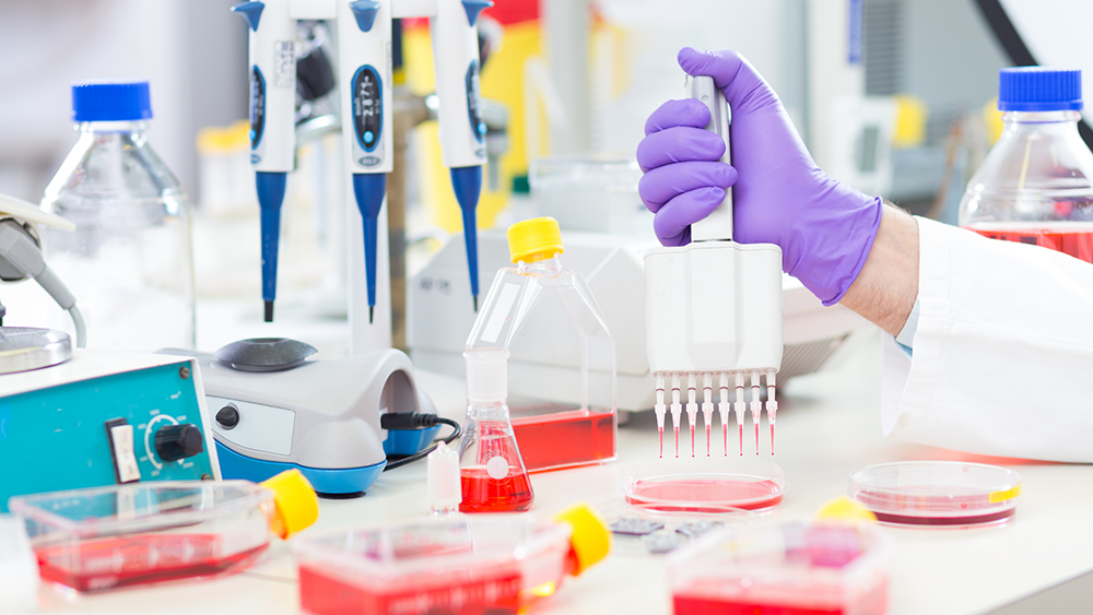 I. Cayman Chemicals Product List - Cell-Based Assay
