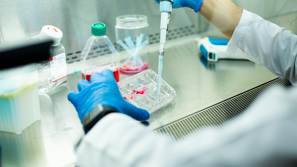 K. Cayman Chemicals Product List - Cell Biology