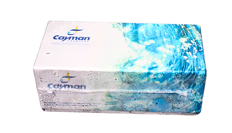 Oxidative Stress & Reactive Species Cayman produk