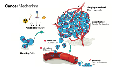 Gambar 1. Mekanisme Kanker