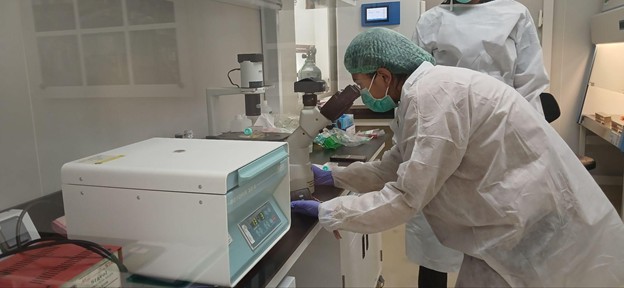 Gambar 13. Proses pengamatan sel setelah pemberian trypsin