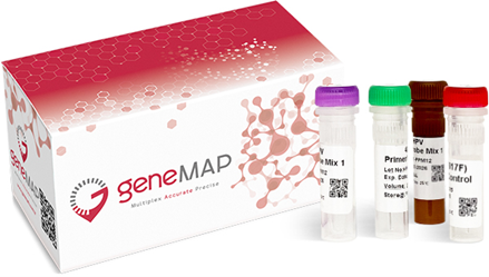 Gambar 2. HPV Genotyping Kit dari GenMap