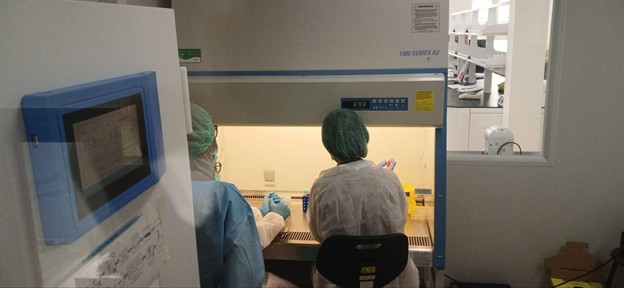 Gambar 3. Kegiatan Thawing Cell Line