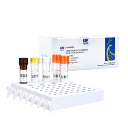 Rapid Detection Kit for Escherichia Coli O157 H7