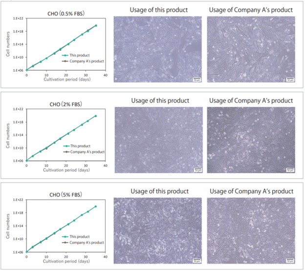Proliferation curves and cell morphology of CHO cells cultured under various serum concentrations (Day 35)