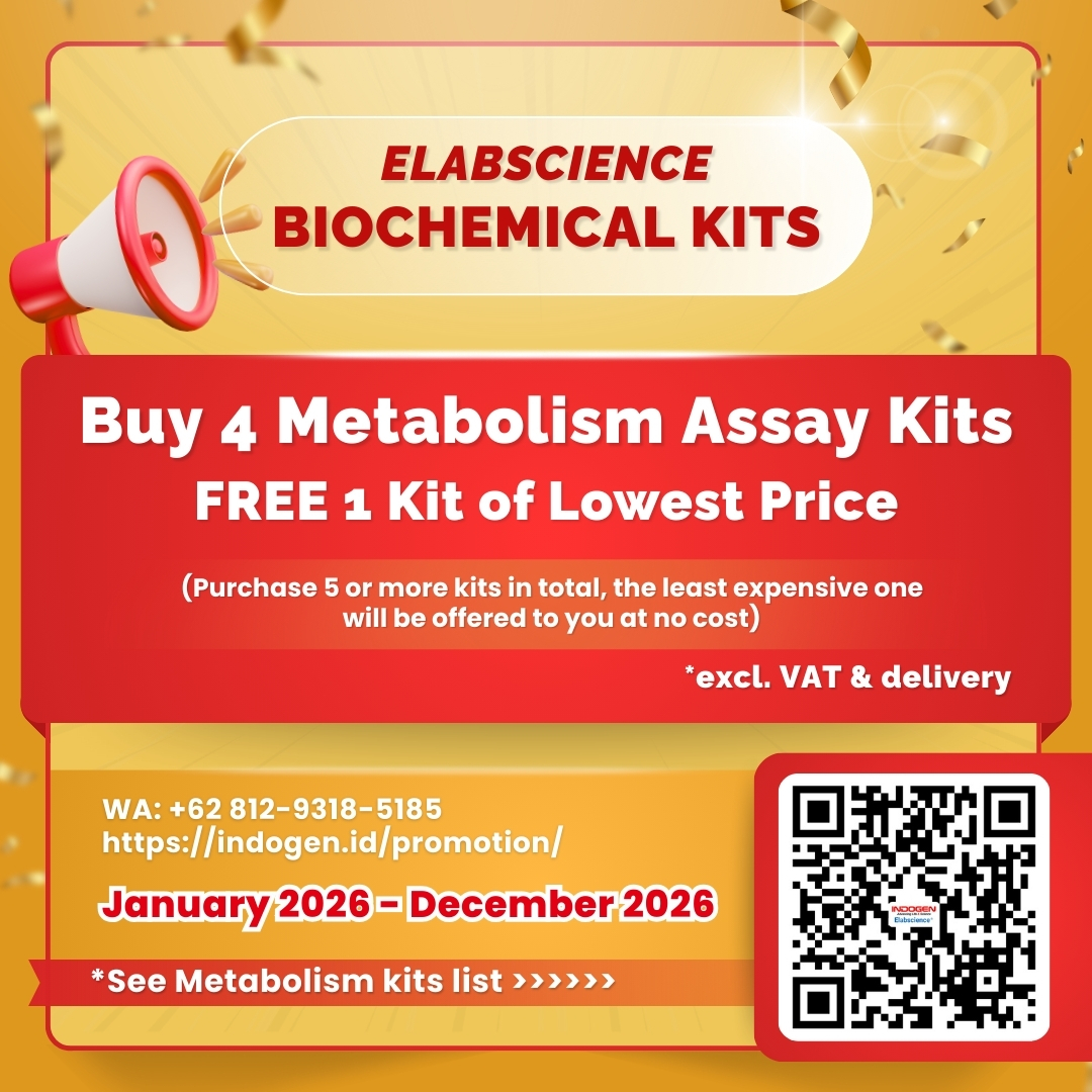 WhatsApp Image 2026-02-20 at 08.48.50