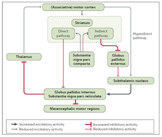 Gambar 1. Perubahan aktivitas area cortex motorik pada penyakit Parkinson.