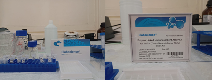 Gambar 2. ELISA Kit brand Elabscience yang digunakan dalam workshop