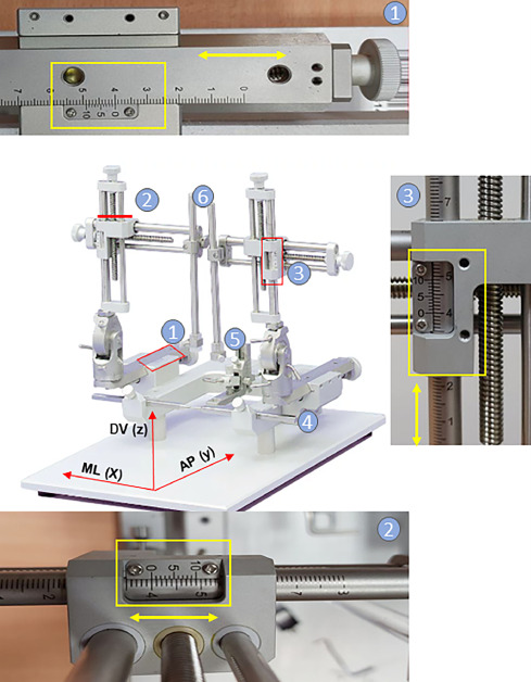 Gambar 2. Perangkat stereotaksis dua lengan ini dilengkapi dengan tiga micromanipulator yang memungkinkan pergerakan dalam ruang tiga dimensi