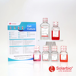Gambar 2. Solarbio (LA8500)1/4 Murashige & Skoog Medium without Agar and Sucrose