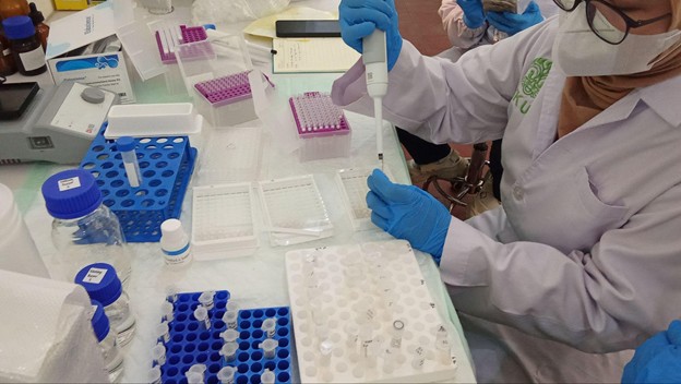 Gambar 4. Proses penambahan standard dan sampel pada well