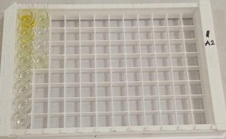 Gambar 6. Sumur pada pengujian ELISA