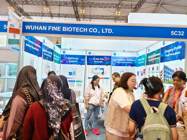 Gambar 10. Pengunjung yang memenuhi booth FineTest