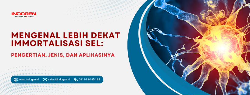 Mengenal Lebih Dekat Immortalisasi Sel_ Pengertian, Jenis, dan Aplikasinya