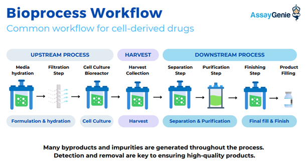 Gambar 3. Diagram Alur Kerja Bioproses Konvensional