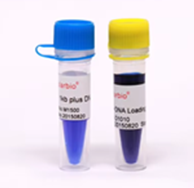 Molecular-Biology-2