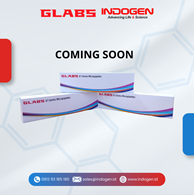 Multi Channel Micropipettes