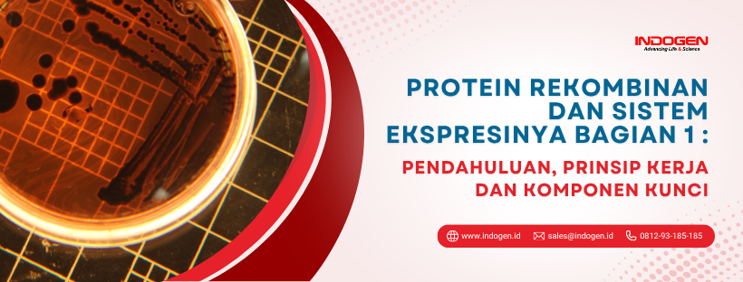 Protein Rekombinan dan Sistem Ekspresinya Bagian 1 Pendahuluan, Prinsip Kerja dan Komponen Kunci