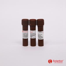 Xanthine Oxidase, CAS：9002-17-9