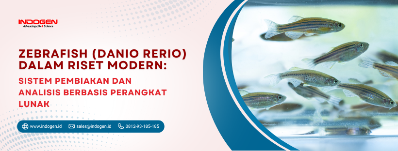 Zebrafish (Danio rerio) dalam Riset Modern Sistem Pembiakan dan Analisis Berbasis Perangkat Lunak