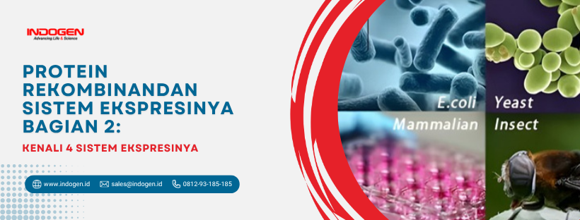 Protein Rekombinandan Sistem Ekspresinya Bagian 2
