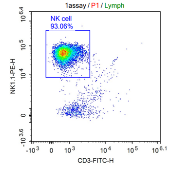 1 assay p1 lymph