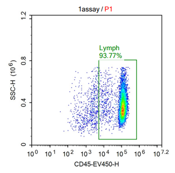 1 assay p1