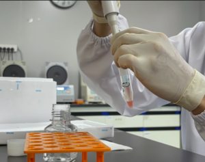 Gambar 15. Proses pembuangan supernatan dan resuspensi pelet dengan isolation buffer