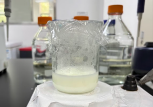 Gambar 17. Penyiapan 5% non-fat dry milk