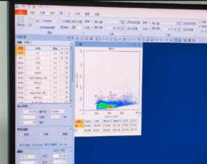 Gambar 18. Running Counting Cells menggunakan flow cytometer