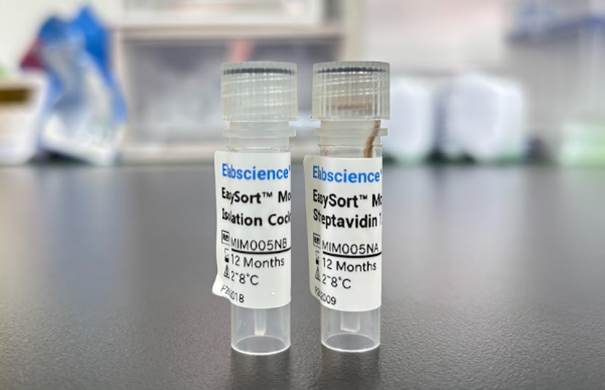 Gambar 19. Produk EasySort™ Mouse NK Cell Isolation Kit (MIM005N)