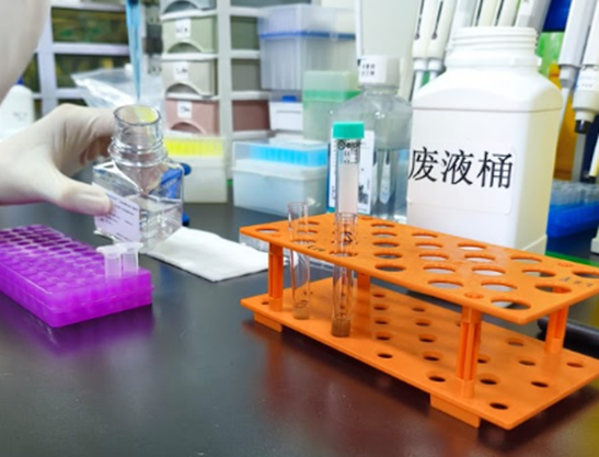 Gambar 28. Penambahan isolation buffer ke dalam tube