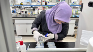 Gambar 29. Pencucian dengan TBST setelah inkubasi antibodi sekunder