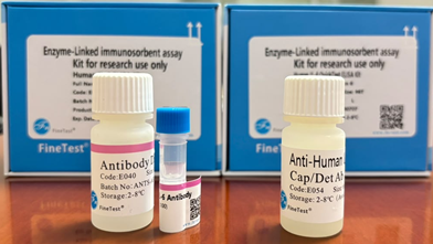 Gambar 35. Perbedaan antibodi deteksi pada FineTest Cat. EH0201 dengan QT-EH0201
